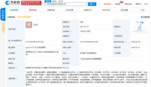 京東云計算拓展智能城市版圖，新設科技公司布局動漫游戲開發與系統集成
